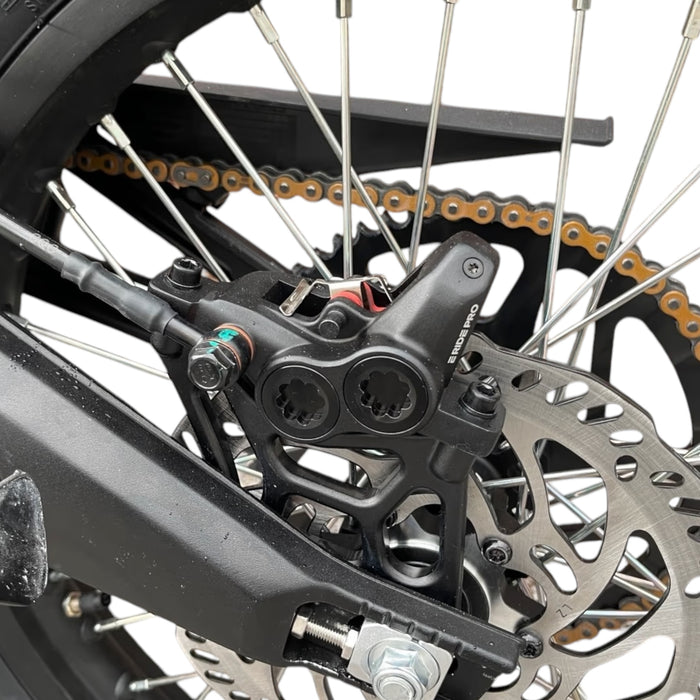 Rear motorcycle disc brake caliper and rotor with chain and swingarm detail