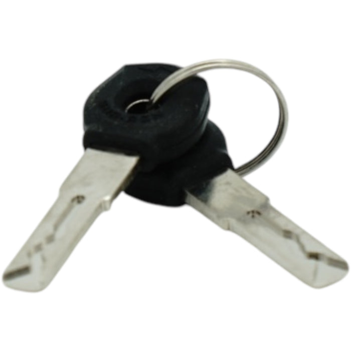 Pair of scooter ignition keys with rubber heads on keyring