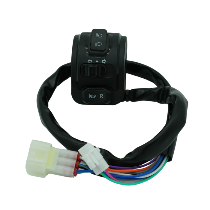 Original E-Ride Pro SS 3.0 switch unit