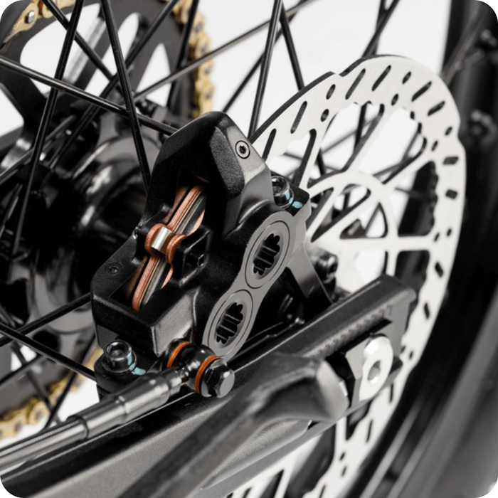 Arctic Leopard XE PRO L1E