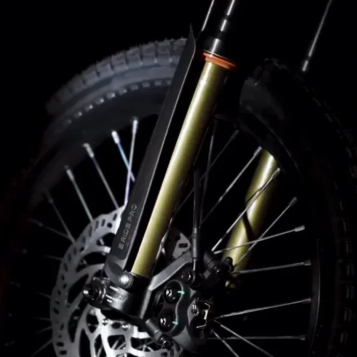 E-Ride Pro SE L1E